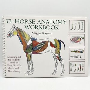 The Horse Anatomy Workbook Maggie Raynor 2016 Spiralbound Text Book NO Writing!